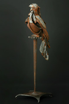 Cockatoo